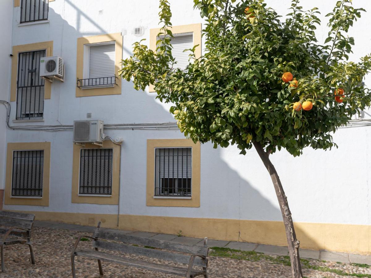 Nayber Gavia - Nuevo Y Centrico Apartamento En Córdoba Exteriér fotografie