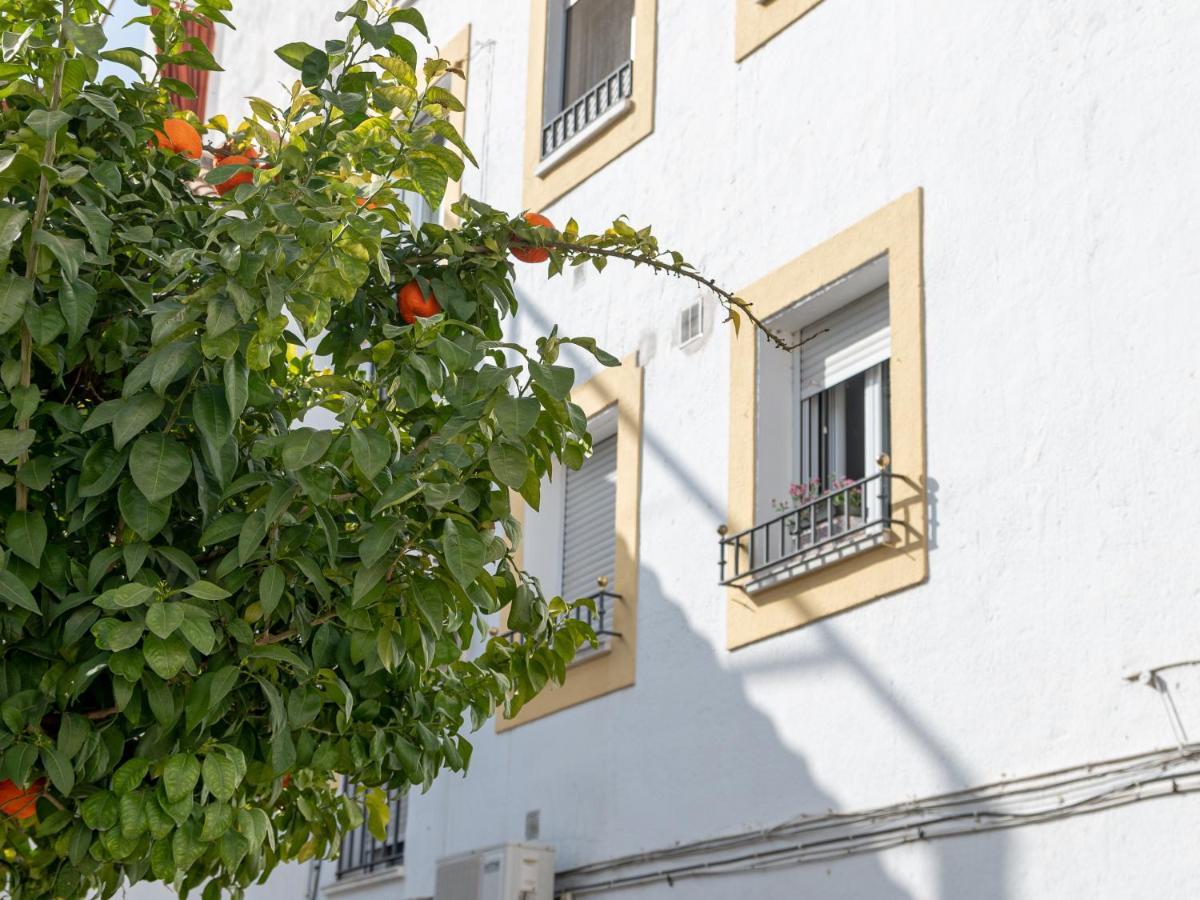 Nayber Gavia - Nuevo Y Centrico Apartamento En Córdoba Exteriér fotografie